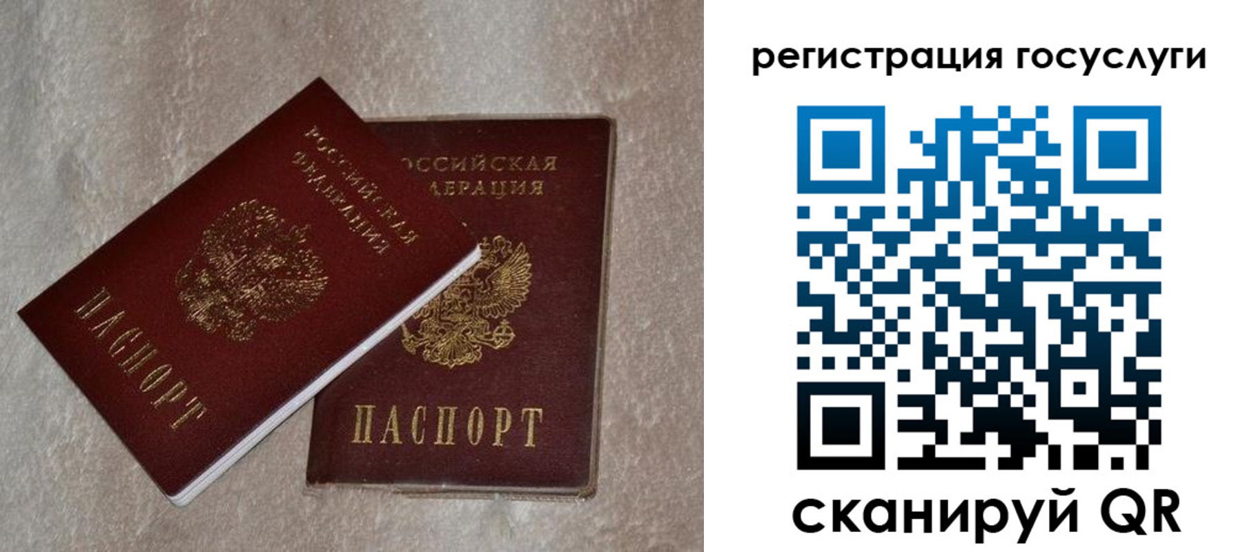 прописка паспорт в Курске