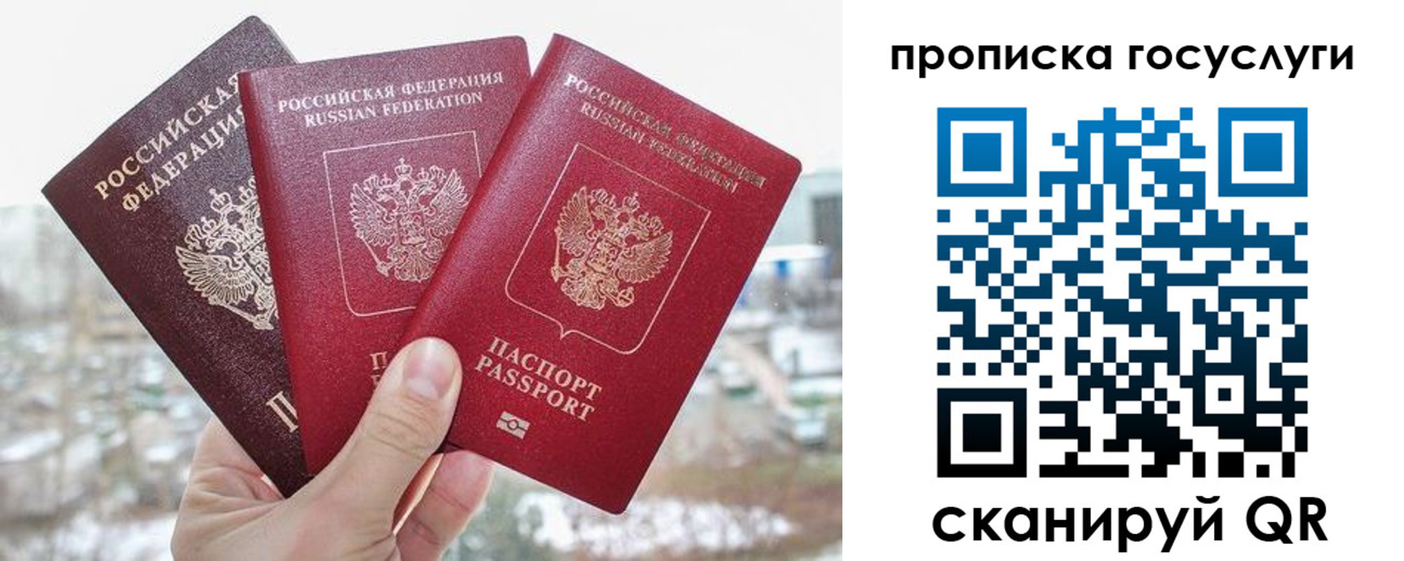 прописка ребенка в Курске